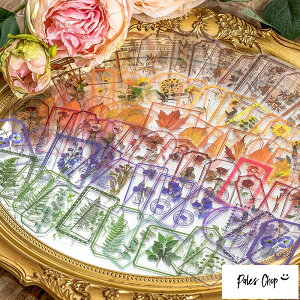 Flowerinthemistseries(s255)30 V[ t[NV[ XebJ[   PET A t [J V_ gt C`E ~W o q} fCW[  hCt[ t[ g  