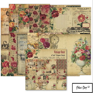 THEBASICS g wiZbg(k973)12 g Be[W  ԕ n}@En} ZsA   g₷ wi  fUCy[p[ fގ f tC[ x[X p g