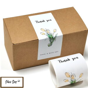 bsOV[[(r014)50 [ V[ XebJ[  lp ` 傫 킢 bsO v[g Mtg THANKYOU 肪Ƃ TL[   BOX 莆 J[h \ 