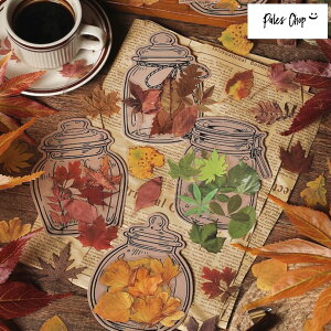 Fallenleavescollection V[ (s52)40 XebJ[ t[NV[ PET NA  t t ͂t gt ~W C`E lG H ꂢ A hCt[ 蒠 fR R[W A