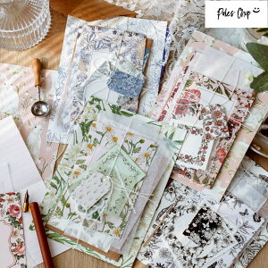 Forestsinzaseries ^[Zbg (k21)40P fރZbg f fގ   A pXe mg[  莆 _ O[eBO J[h V[ bZ[W bsO fR R[W A