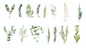 t[NV[ THEMEDICIGARDENS(s3)45 V[ COXebJ[   A t[ t o fCW[ [J Rbg q} `[bv ACX R[W fR  