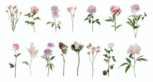 t[NV[ THEMEDICIGARDENS(s3)45 V[ COXebJ[   A t[ t o fCW[ [J Rbg q} `[bv ACX R[W fR  