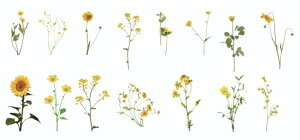 t[NV[ THEMEDICIGARDENS(s3)45 V[ COXebJ[   A t[ t o fCW[ [J Rbg q} `[bv ACX R[W fR  