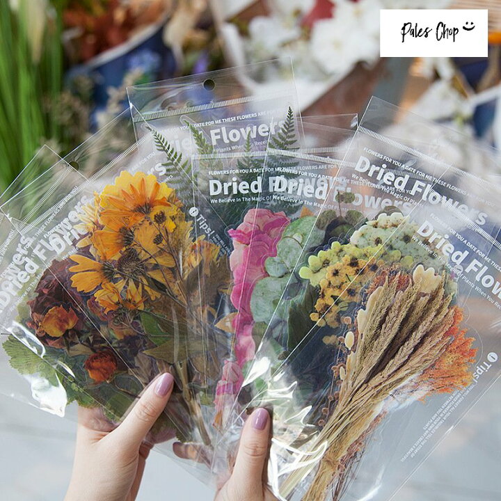 楽天市場】Dryed Flowers Sticker シール (s63)6柄6枚入 ドライ 