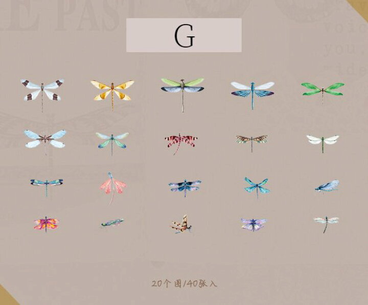 楽天市場】【P特価】Butterfly シール (s25)40枚入り 蝶 クリア 