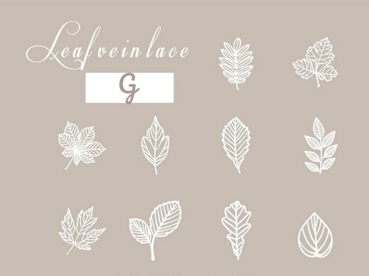 楽天市場 レース素材紙 S127 10枚入り 海外 透かし彫り レース 刺繍 蝶 扉 門 お花 葉 羽 ハート フレーム 枠 レースペーパー デザインペーパー アンティーク レトロ クラシック コラージュ デコ Diy おしゃれ 珍しい ジャンクジャーナル 素材 紙 Pales Chop