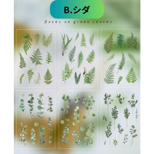  K[f PETXebJ[(bv16) e6V[g fCW[ KN V_ Rbg  `[bv q} Ԏ蒠 X}z fR R[W AW WNW[i 莆 J[h