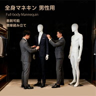 【楽天スーパーSALE 期間限定15%OFF 19680円→16720円】【新発売】Kurflo マネキン 全身マネキン マネキ…
