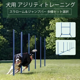 犬用アジリティ トレーニング 犬ドッグアジリテ 知育玩具 障害物 自立・組立式 どこでも設置 トレーニング しつけ ドッグラン 運動用障害物 犬用アジリティ 持運びキャリーバッグ付き