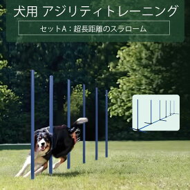 犬用アジリティ トレーニング 犬ドッグアジリテ 知育玩具 障害物 自立・組立式 どこでも設置 トレーニング しつけ ドッグラン 運動用障害物 犬用アジリティ 持運びキャリーバッグ付き