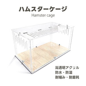 �y�V�����z�y�労�Ӎ� ���Ԍ���10%OFF 14990��13490�z �n���X�^�[�P�[�W ��^ 80cm �A�N�����P�[�W ���� 80×43×39cm