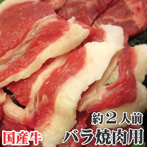 Yo ēp300gY Jr o ēZbg ē LO1 Y AEghA Əē W[ ēZbg ē LO1 o[xL[  H Zbg