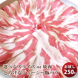 冷凍便でお届け豚バラ肉 250g スライスor焼肉用 使いきりで便利！！豚肉 焼肉 スライス バラ 冷凍 小分け 便利 バーベキュー 肉 食材 セット