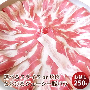 Ⓚւł͂؃o 250g XCXorēp gŕ֗IIؓ ē XCX o Ⓚ  ֗ o[xL[  H Zbg