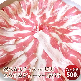 冷凍便でお届け豚バラ肉 500g スライスor焼肉用 250g×2パック小分けで便利！！ 豚肉 焼肉 スライス バラ 冷凍 小分け 便利 バーベキュー 肉 食材 セット
