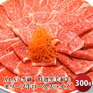  Ε NX}XHi j I јa I[u [X 300g  eNjJ Mtg v[g Ԃ Ă XCX ( A4 ` A5 )  ~ ґ  