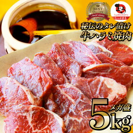 牛ハラミ焼肉(タレ漬け)5kg(250g×20) タレ 赤身 はらみ 秘伝 焼肉セット 焼肉 ランキング1位 やきにく ハラミ アウトドア お家焼肉 レジャー 送料無料 バーベキュー 肉 食材 セット キャンプ キャンプ飯