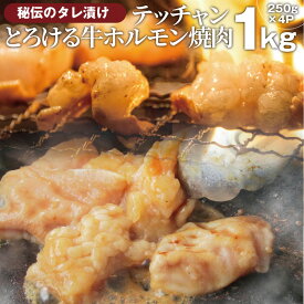 送料無料 冷凍 牛テッチャン タレ漬け ホルモン ( シマチョウ ) 1kg (250g×4袋) 焼肉用 お得 タレ 秘伝 焼肉 やきにく アウトドア お家焼肉 肉 食材 セット