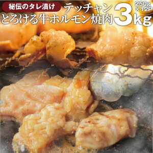 ホルモン 油 牛肉の通販 価格比較 価格 Com