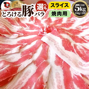 冷凍便でお届け豚バラ肉 5kg スライスor焼肉用 250g×20パック小分けで便利!! 豚肉 焼肉 スライス バラ 冷凍 小分け 便利送料無料 バーベキュー 肉 食材 セット