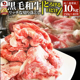 肉 母の日 父の日 新生活 ギフト 食品 お祝い 黒毛和牛 贅沢 霜降り 切り落とし たっぷり メガ盛り 10kg(250g×40) プレゼント ( 和牛 切り落とし 訳あり 国産 牛 牛肉 ) 送料無料