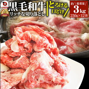 肉 お歳暮 クリスマス食品 お祝い 黒毛和牛 贅沢 霜降り 切り落とし たっぷり メガ盛り 3kg(250g×12) ギフト プレゼント ( 和牛 切り落とし 訳あり 国産 牛 牛肉 ) 送料無料