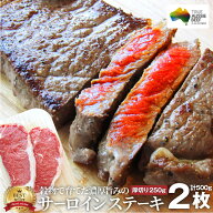 肉 お中元 クリスマス食品 お祝い サーロイン ステーキ 2枚 厚切り 250g×2枚 セット ギフト プレゼント …