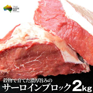 T[C ubN 2kg  eNjJ Xe[Lp Ԑg I[XgAY Mtg v[g b` Ԑg ґ   I[W[Er[t