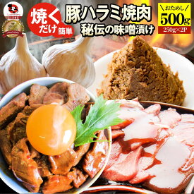 焼肉 豚ハラミ焼肉(味噌タレ漬け)500g(250g×2) タレ 秘伝 焼肉セット 焼肉 ランキング1位 やきにく ハラミ アウトドア お家焼肉 レジャー 送料無料 バーベキュー 肉 食材 セット