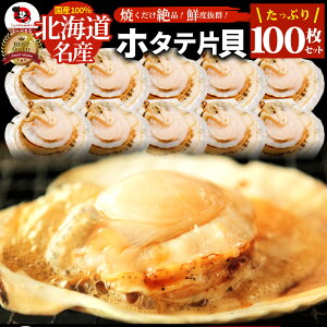 z^e ق  100(10×10) kCY o^[Ă قĊL o[xL[ BBQ ЊL Ă Ɩp Y CN V[t[h Hi O kt 