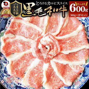  Ε NX}XHi j јa Ԃ Ă XCX 600g  eNjJ Ƃ낯 Jr Mtg v[g ( A4 ` A5 )   Ԑg ґ  a Y 