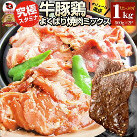焼肉 ざんまい 牛豚鶏よくばり焼肉ミックス 1kg(500g×2) おトク お徳用 送料無料 肉 通販 グルメ アウトドア お家焼肉 レジャー 送料無料 バーベキュー 肉 食材 セット