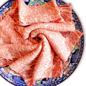  Ε NX}XHi j јa NV^ [X 3kg Mtg v[g Ԃ Ă p XCX ( A4 ` A5 )  ~ ґ  a Y j LO 