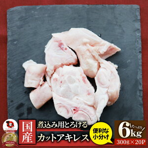Y Jbg ALX 6kg(300g×20) ֗ȏ ύݗp Ƃ낯   XW Ⓚ  Hו Hi y ʔ O