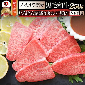 肉 新生活 ギフト 食品 お祝い A4,A5等級 特選 黒毛和牛 カルビ焼肉 250g 焼肉のタレ付 凍眠 テクニカン ( A4 ～ A5等級 )牛肉 送料無料 霜降り 贅沢 黒毛 和牛 国産 祝い 記念 通販 グルメ 誕生日 焼肉セット 焼肉 牛 内祝