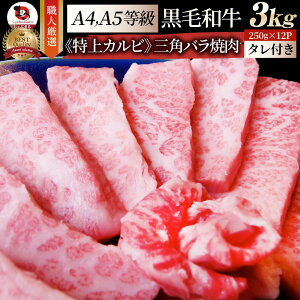  Mtg v[g Hi j A4,A5 I јa Opo Jrē 3kg(250g×12) ē̃^t  eNjJ Mtg v[g  a   ē Jr BBQ Ă Y A5