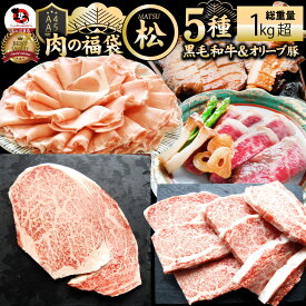 肉 福袋 黒毛和牛入り 肉の福袋 「松福袋」総重量1kg超 凍眠 テクニカン 5種食べ比べ 牛肉 食品 メガ盛り 焼くだけ＆解凍するだけ簡単調理！ランキング1位＆人気のお肉豪華セット 焼肉 ステーキ プレゼント 送料無料