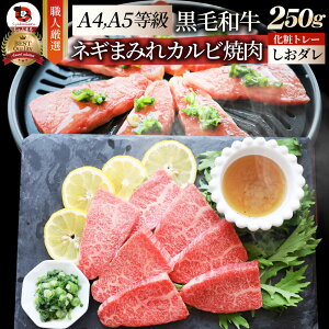 A4,A5���� ���I ���јa�� �J���r�ē� 250g �˂��܂݂� �|���_��( A4 �` A5���� )���� �� ������ �N���X�}�X�H�i ���j�� ���~�� �ґ� ���� �a�� ���Y �j�� �L�O �ʔ� �O���� �a���� �ē��Z�b�g �ē� 