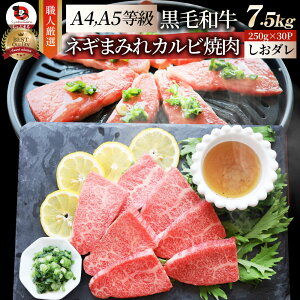 A4,A5等級 特選 黒毛和牛 カルビ焼肉 7.5kg ねぎまみれ 旨塩ダレ( A4 〜 A5等級 )牛肉 肉 お歳暮 クリスマス食品 お祝い 霜降り 贅沢 黒毛 和牛 国産 祝い 記念 通販 グルメ 誕生日 焼肉セット 焼肉