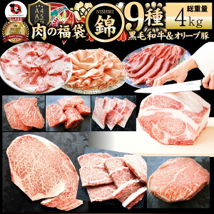   јa I[u Hה d4kg  eNjJ 2023N ̕ uѕ?NISHIKI-v Hi K Ă𓀂邾 LO1ʁlĈ؃Zbg ē 