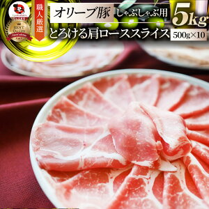  I[u،[XXCX5kg (500g×10) Ε NX}XHi j Mtg v[g uh ؓ I[u Ԃ uߕ [X Ⓚ 쌧 
