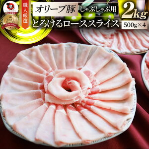  Ε NX}XHi j I[u؃[XXCX2kg Mtg v[g uh ؓ Ԃ uߕ [X Ⓚ 쌧 2000g( Hו ) 
