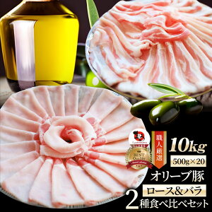  I[u [Xo2Hה XCX 10kg (500g×20) Ε NX}XHi j Mtg v[g uh ؓ Ԃ uߕ o [X Ⓚ 쌧 