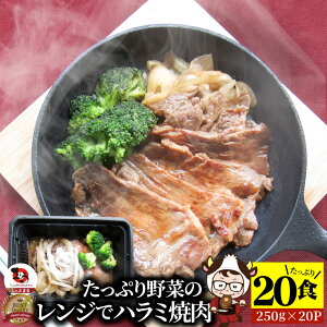 Wŋn~ē 20H(250g×20) ᓜ Ղ؂̃n~ē ₫ɂ n~ ^ Ԑg ͂ ` ē LO1 y Əē  H Zbg Ⓚ y y Ɩp 