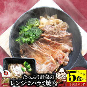 Wŋn~ē 5H(250g×5) ᓜ Ղ؂̃n~ē ₫ɂ n~ ^ Ԑg ͂ ` ē LO1 y Əē  H Zbg Ⓚ y y Ɩp 