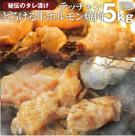 送料無料 冷凍 牛テッチャン タレ漬け ホルモン ( シマチョウ ) 5kg (250g×20袋) 焼肉用 お得 タレ 秘伝 焼肉 やきにく アウトドア お家焼肉 肉 食材 セット