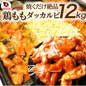 |h W[V[ { `[Y_bJr 12kg (500g×24)(ȒPE`[Y邾)BBQ ē o[xL[ { Hו { AEghA Əē W[ ēp Ɩp 