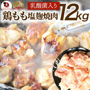 W[V[{̉Ђ ē 12kg (500g×24) BBQ ē o[xL[ { Hו { AEghA Əē W[ ēp Ɩp 
