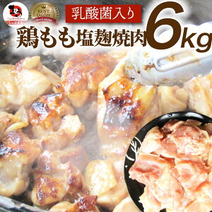 W[V[{̉Ђ ē 6kg (500g×12) BBQ ē o[xL[ { Hו { AEghA Əē W[ ēp Ɩp 